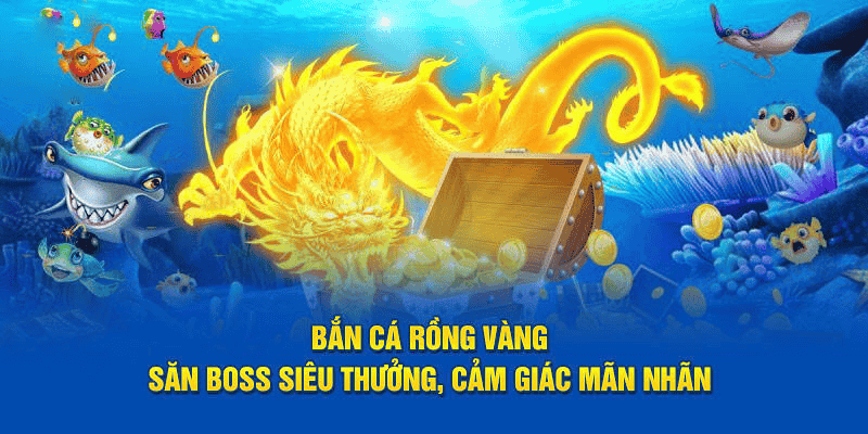 Bắn cá rồng vàng dành cho xạ thủ